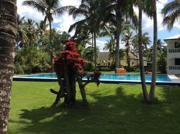 Nathalia Vip Hotel Cabarete Luaran gambar